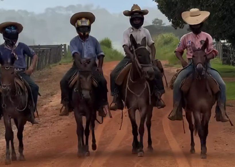 Norma do governo federal que obriga peão a trocar chapéu por capacete vira chacota e memes na internet