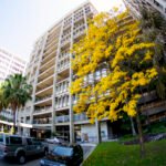 A Universidade Estadual do Rio de Janeiro (Uerj)