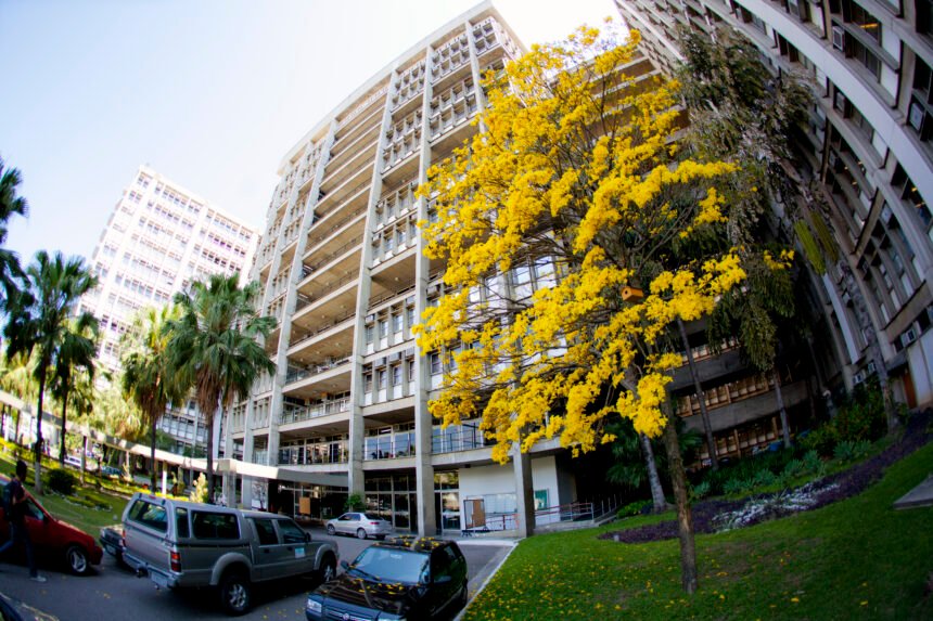A Universidade Estadual do Rio de Janeiro (Uerj)