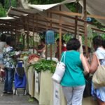 Sem aperto: Alerj aprova banheiros químicos em feiras livres