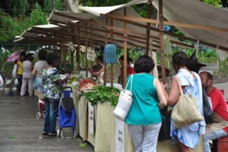 Sem aperto: Alerj aprova banheiros químicos em feiras livres