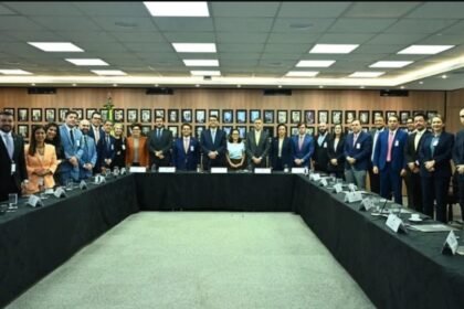 OAB articula junto ao governo estratégias contra o golpe do falso advogado