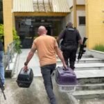 Alerj resgata cães de raça e casal é preso por maus-tratos em Vigário Geral