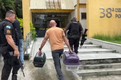 Alerj resgata cães de raça e casal é preso por maus-tratos em Vigário Geral