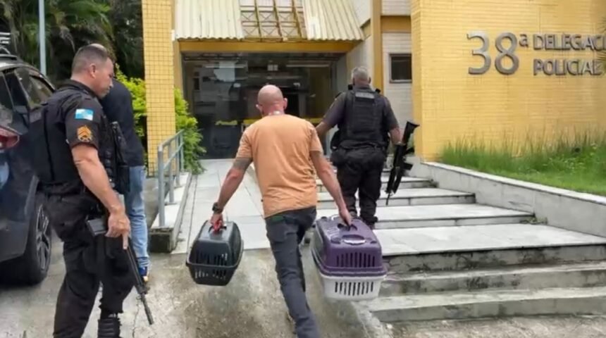 Alerj resgata cães de raça e casal é preso por maus-tratos em Vigário Geral