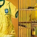 'Brasa' na camisa: Nike tenta lacrar, mas acende polêmica