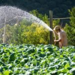 Teresópolis intensifica presença em grandes eventos de Agricultura e Turismo