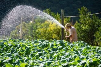 Teresópolis intensifica presença em grandes eventos de Agricultura e Turismo