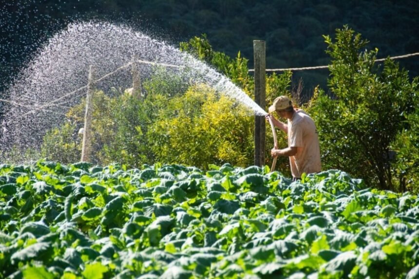 Teresópolis intensifica presença em grandes eventos de Agricultura e Turismo
