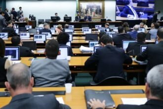 Condenados podem ser obrigados a prestar serviços à comunidade em abrigos de animais