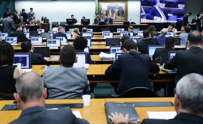 Condenados podem ser obrigados a prestar serviços à comunidade em abrigos de animais