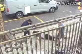 Cadê a Força Municipal?