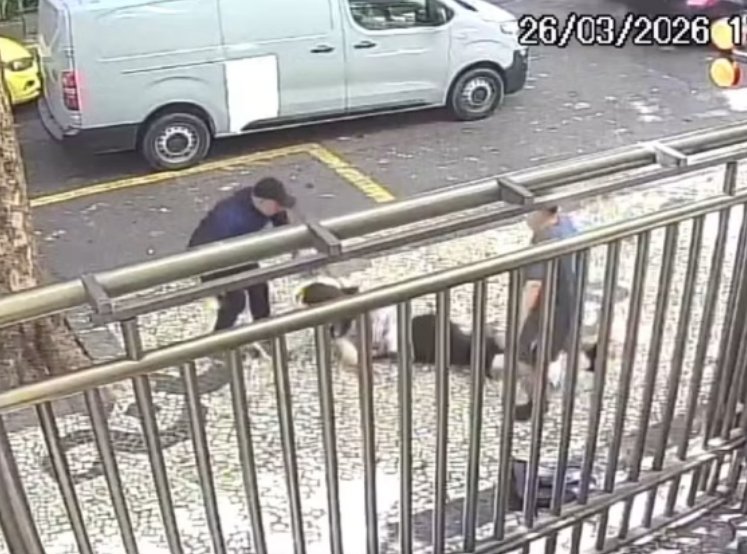 Cadê a Força Municipal?