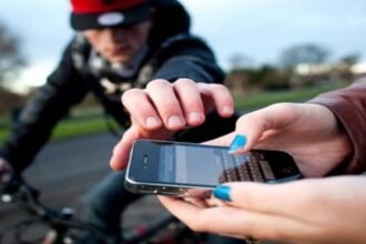 Tolerância zero: Senado endurece penas e furto de celular e de animais domésticos pode custar até 6 anos de prisão