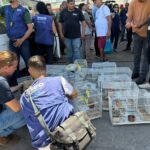 Alerj participa de megaoperação em Caxias para desmantelar esquema de tráfico de animais