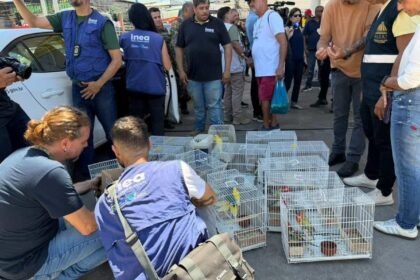 Alerj participa de megaoperação em Caxias para desmantelar esquema de tráfico de animais