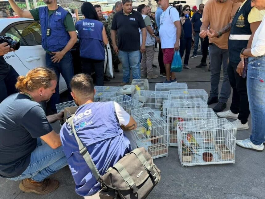 Alerj participa de megaoperação em Caxias para desmantelar esquema de tráfico de animais