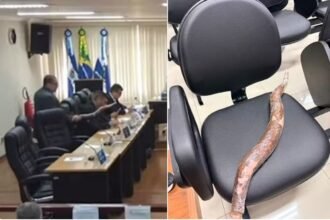 Vereador saca mandioca gigante após ter microfone cortado