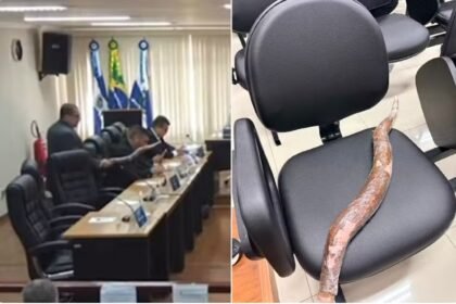 Vereador saca mandioca gigante após ter microfone cortado