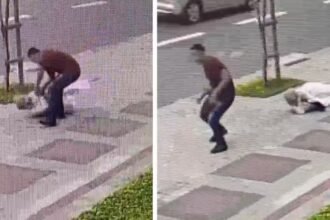 Idosa de 85 anos é agredida por ladrão em BH; veja o vídeo