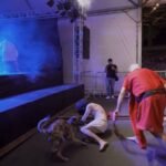 Cadela de rua defende Jesus em Sapiranga (RS) e ganha novo lar