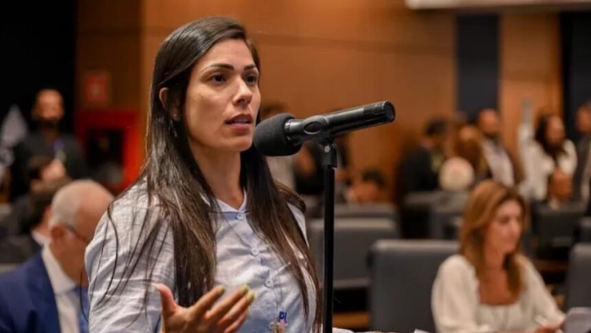 Deputada propõe fechar estabelecimentos que vendem linhas cortantes no Rio