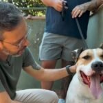 'Chega de omissão': Revolta toma Niterói após ataque e abandono de animais e população vai às ruas exigir ação