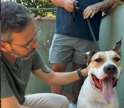 'Chega de omissão': Revolta toma Niterói após ataque e abandono de animais e população vai às ruas exigir ação