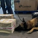 R$ 1,25 MILHÃO EM DROGAS PELOS CORREIOS — cães da Receita desmantelam esquema milionário no Rio