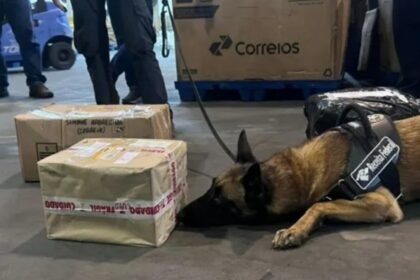 R$ 1,25 MILHÃO EM DROGAS PELOS CORREIOS — cães da Receita desmantelam esquema milionário no Rio