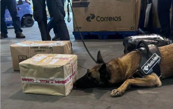 R$ 1,25 MILHÃO EM DROGAS PELOS CORREIOS — cães da Receita desmantelam esquema milionário no Rio