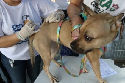 Itaguaí aplica vacina antirrábica em pets nos bairros Chaperó e Parque Primavera