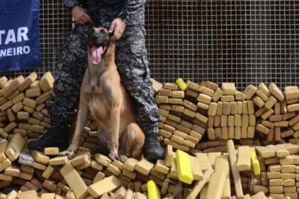 CHEIROU R$ 50 MILHÕES — O TRÁFICO CHOROU: cão da PM ganha medalha na Alerj