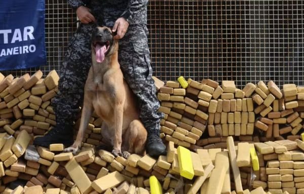 CHEIROU R$ 50 MILHÕES — O TRÁFICO CHOROU: cão da PM ganha medalha na Alerj