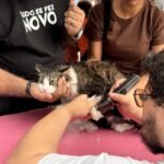 Mais de 600 cães e gatos são vacinados em ação de bem-estar para pets em Meriti