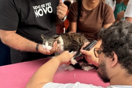 Mais de 600 cães e gatos são vacinados em ação de bem-estar para pets em Meriti