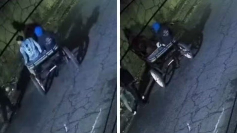 Até de charrete? Dupla assalta mulher e fuga inusitada viraliza nas redes