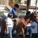 Mangaratiba leva equoterapia a mais dois distritos e amplia atendimento para crianças com autismo e PCDs