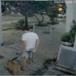 Homem é procurado por matar o próprio cachorro afogado em Copacabana; veja o vídeo