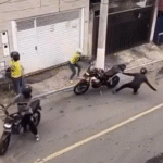 Gol contra o crime vira festa nas redes