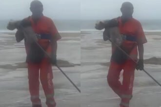 HERÓI DE VERDADE: GARI ARRISCA A VIDA PARA SALVAR CACHORRO NO RIO