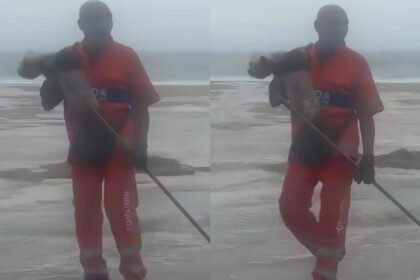 HERÓI DE VERDADE: GARI ARRISCA A VIDA PARA SALVAR CACHORRO NO RIO