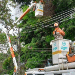 Após vendaval histórico, Light conclui recuperação da rede com força-tarefa de mais de 2 mil profissionais