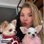 Deixados para trás? Polícia procura Verônica Costa mas encontra dois cães abandonados