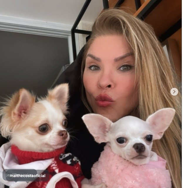 Deixados para trás? Polícia procura Verônica Costa mas encontra dois cães abandonados